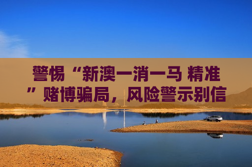 西安网站优化公司