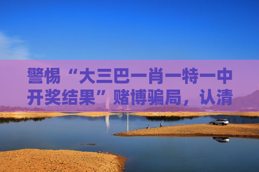 西安网站优化公司