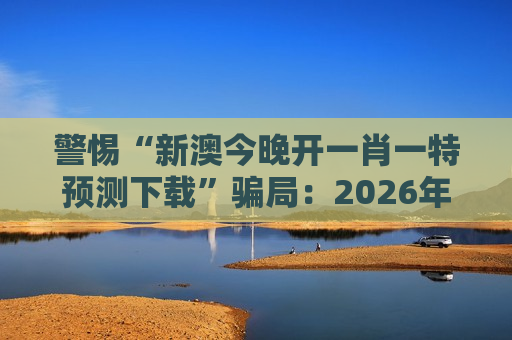 西安网站优化公司